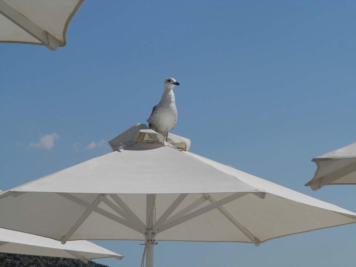 Stefanakis Hotel & Apartments Varkiza Luaran gambar